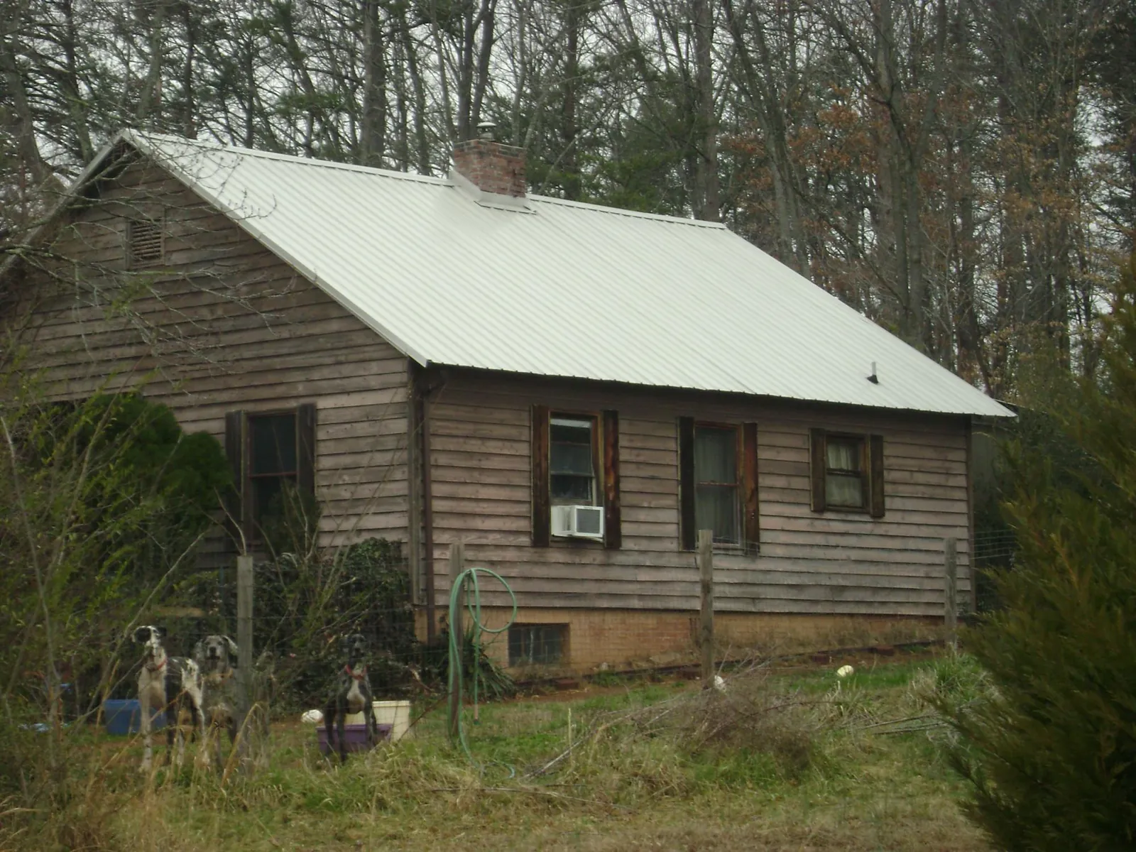 White metal roof on an old wood sided farmhouse, from a Asphalt Shingle Roof Repair job in Dorr